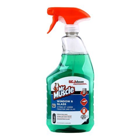 Mr. Muscle Window & Glass Cleaner Trigger 750ml