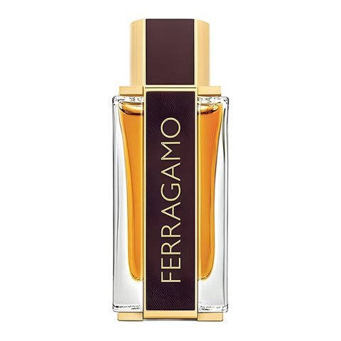 Salvatore Ferragamo Spicy Leather Perfume, For Men, 100ml